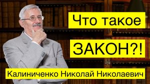 Что такое закон?! Николай Калиниченко.