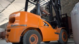 Селекция зерновых. Как выращивать пшеницу, ячмень и овес? Что такое сорта космополиты?