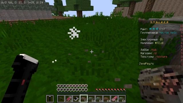 СТАЛКЕР В МАЙНКРАФТ!! ПОЧЕМУ ТАК ЛАГАЕТ!?!?!? -МОЙ КОМПЬЮТЕР((( ЧТО ПРОИСХОДИТ С МОИМ КОМПОМ? смотреть онлайн