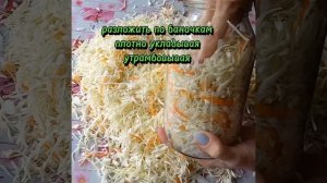Соленая капуста# капуста по- петровски