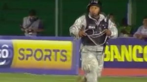 НЕВЕРОЯТНЫЕ ПОЯВЛЕНИЯ ЖИВОТНЫХ НА ПОЛЕ