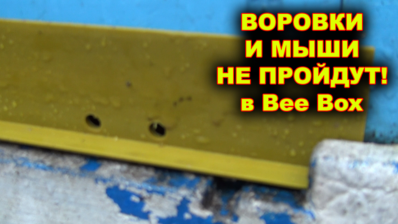 Простой способ защитить Bee Box от воровок и мышей.