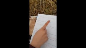 Как составлять вексель Человек Мужчина Игорь