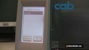 Автономная печать этикеток на принтере cab eos1