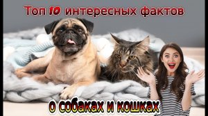 Интересные истории и факты про животных.