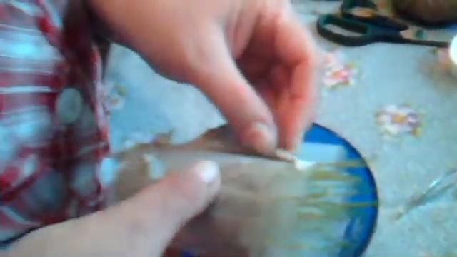 Проростки пшеницы.Эксперимент.