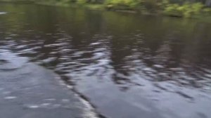 ТАЙГА / РЫБАЛКА НА СЕТИ / Часть 3