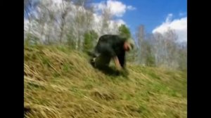 Памяти Владислава Галкина. Високосный Год   Тихий огонек Дальнобойщики 1,2.