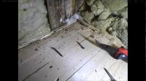 Что будет с домом менее чем за год, если СЫРАЯ доска в каркасе