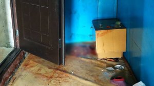 Убийство собутыльника в Торбеево