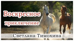 Рассказ Светланы Тимохиной "Воскресное приключение". Авторское чтение