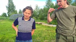 Yoll's добрый stream из Совиного дола. Упоротые зоологи в гостях