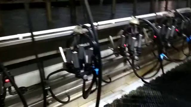 ДеЛаваль Доильный зал 2х20 Азербайджан
