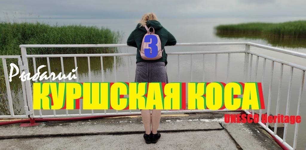 Куршская коса.3 часть.Высота Мюллера,озеро Чайка,пляж в Рыбачем.косуля,цапля.(Зеленоградск)