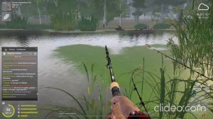 #рр4 #острог Синий трофейный линь!!! + карась золотой трофей. 4-ый синий трофей!!!