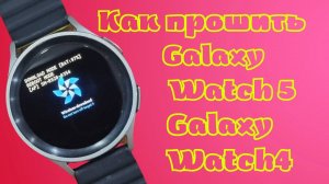 Как ПРОШИТЬ Galaxy Watch 6, Watch 5, Watch 4, однофайловой прошивкой подробная инструкция