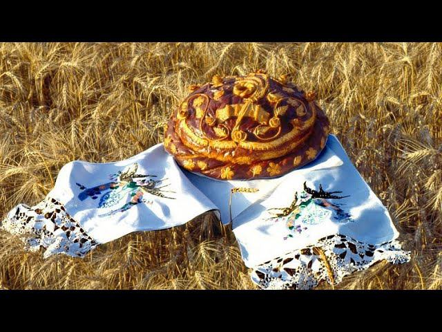 Учёт и налогообложение сделок по выращиванию сельхозпродукции и её дальнейшей реализации
