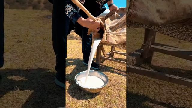 Behsbarmak city №1qimiz qaydan leledi?#бешбармак #mexnat #beshbarmoq смотреть онлайн