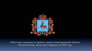 Публичные слушания по проекту закона Нижегородской обл. об исполнении областного бюджета за 2023 год