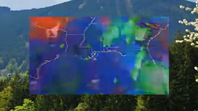 Животные помогают репортерам Веселая подборка видео с животными смотреть онлайн