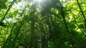 Лазаревское ! 2.07.2022.нереально красивое место отдыха. Тритоновое ущелье.!