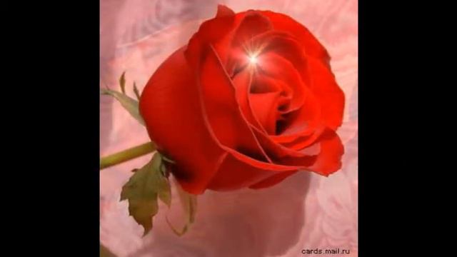 Поздравление c Юбилеем от семьи Соловьевых!