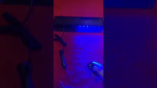 Стробоскоп под лобовое. Красно-синий. На пульте. Дистанционное управление. смотреть онлайн