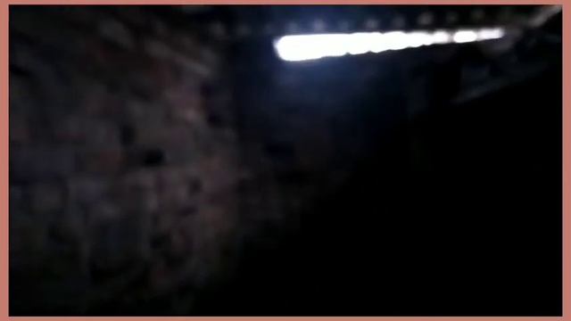 Как отличить селезня от утки. Переселение трех молодых уток. смотреть онлайн