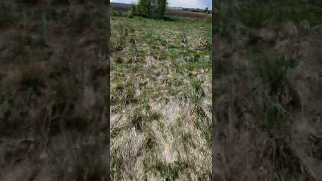 мой огород, мой сад. без прекрас, как есть.