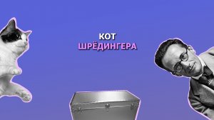 Кот Шредингера