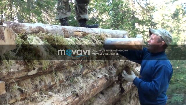 Постройка избы(зимовья) в лесу. #1