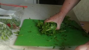 Заготовка щавеля и шпината на зиму.