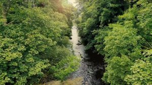 River - Ultrawide 1440p 21:9 Video - 4 Hours - Nature