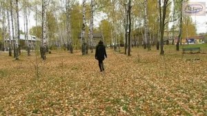 ЛИСТЬЯ ЖЕЛТЫЕ