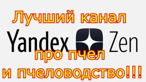 Создали лучший канал про пчел и пчеловодство на Яндекс Дзен!!!