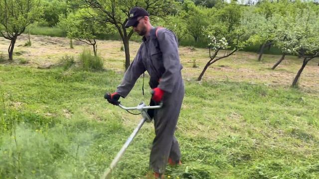 Cutting grass with Stihl FS 560 C-EM and Stihl CF3-pro trimmer line just before the rain. смотреть онлайн