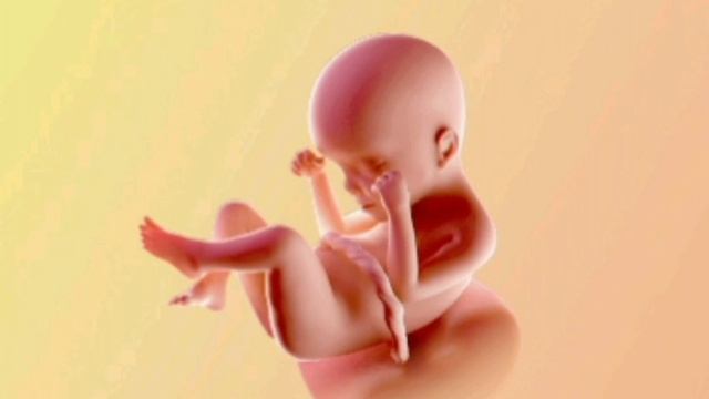 Java e 24 e Shtatzanise. Cfare pritet te ndodhe gjate kesaj jave? смотреть онлайн