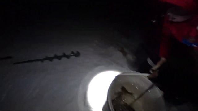 Поставушки на Налима со льда. Рыбалка на Каме с приятелем #рыбалка #налим #донки #всегданарыбалке