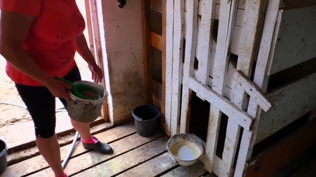 Выращивание и рацион кормления телят. Замеры и привесы. смотреть онлайн