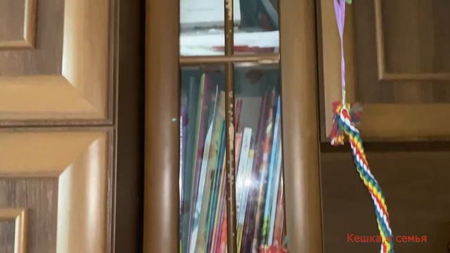 Как мы Олега провожали / Ожереловый попугай Кеша / Мешки для стирки смотреть онлайн