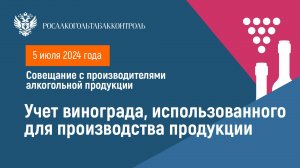 Учет винограда, использованного для производства продукции