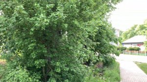 Агрогородок под Минском.