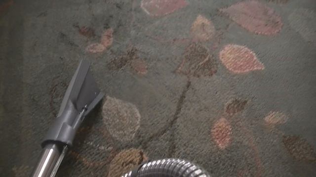 Minus odkurzacza piorącego Zelmer Aquawelt 919.0SP 1600W . смотреть онлайн