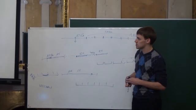 Лекция 8 | Алгоритмы в биоинформатике | Николай Вяххи | CSC | Лекториум смотреть онлайн