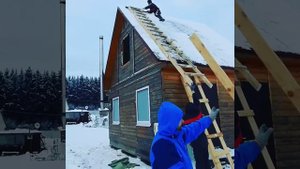 Бакич обезьяна