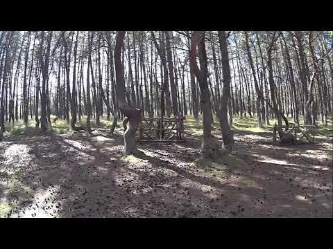 Танцующий Лес на Куршской Косе смотреть онлайн