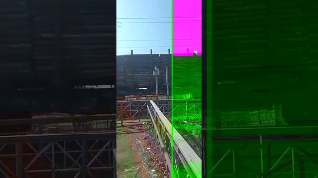 Куда уходит лес? смотреть онлайн