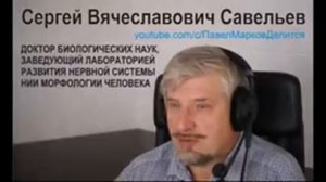 Вынос мозга 22 неокортекс ч2  Савельев С.В. 9 декабря 2017