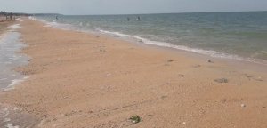 Дикий кемпинг на азовском море. Должанка