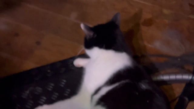 electronic hardware jam with MFB Tanzbar SE80 Boomstar, Vermona Perfourmer, Nyborg -24 Analogue смотреть онлайн